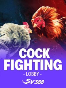cock fighting